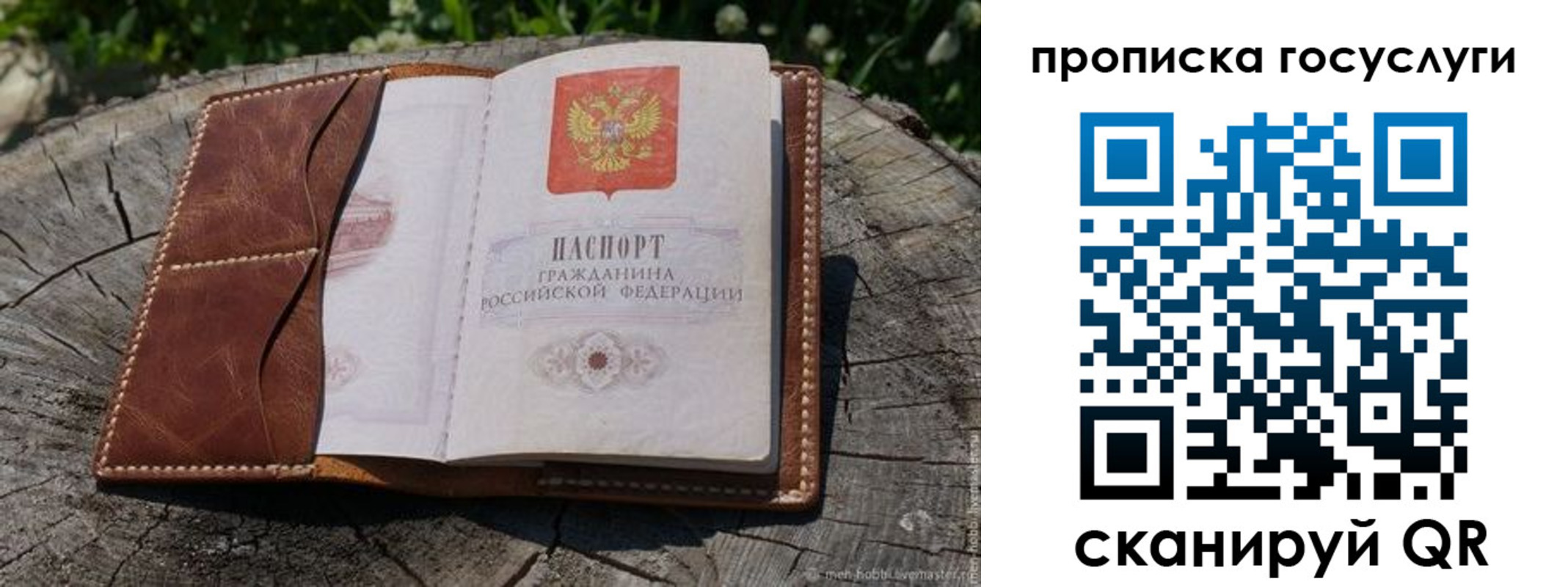 прописка для школы в Пензе